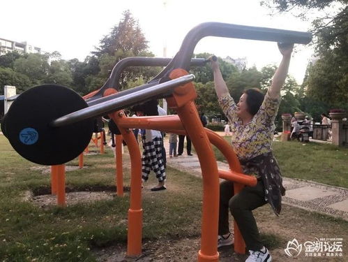 金湖翠湖公園新增力量型運動器材,成為一道靚麗的風(fēng)景線