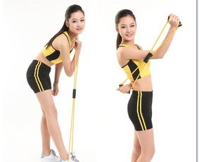 易威斯堡塑胸拉力器 價(jià)格、廠家與選購指南