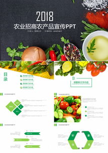 高效展示農(nóng)產(chǎn)品項(xiàng)目 專(zhuān)業(yè)PPT模板獲取與熊貓辦公平臺(tái)使用指南
